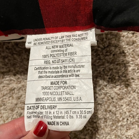 NWT decorative holiday pillow. Target 2023. Went with different decor. - Picture 4 of 4